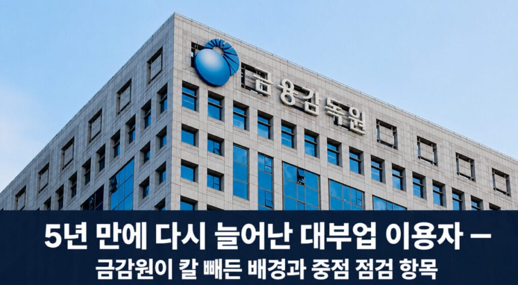 대부업 금감원 점검